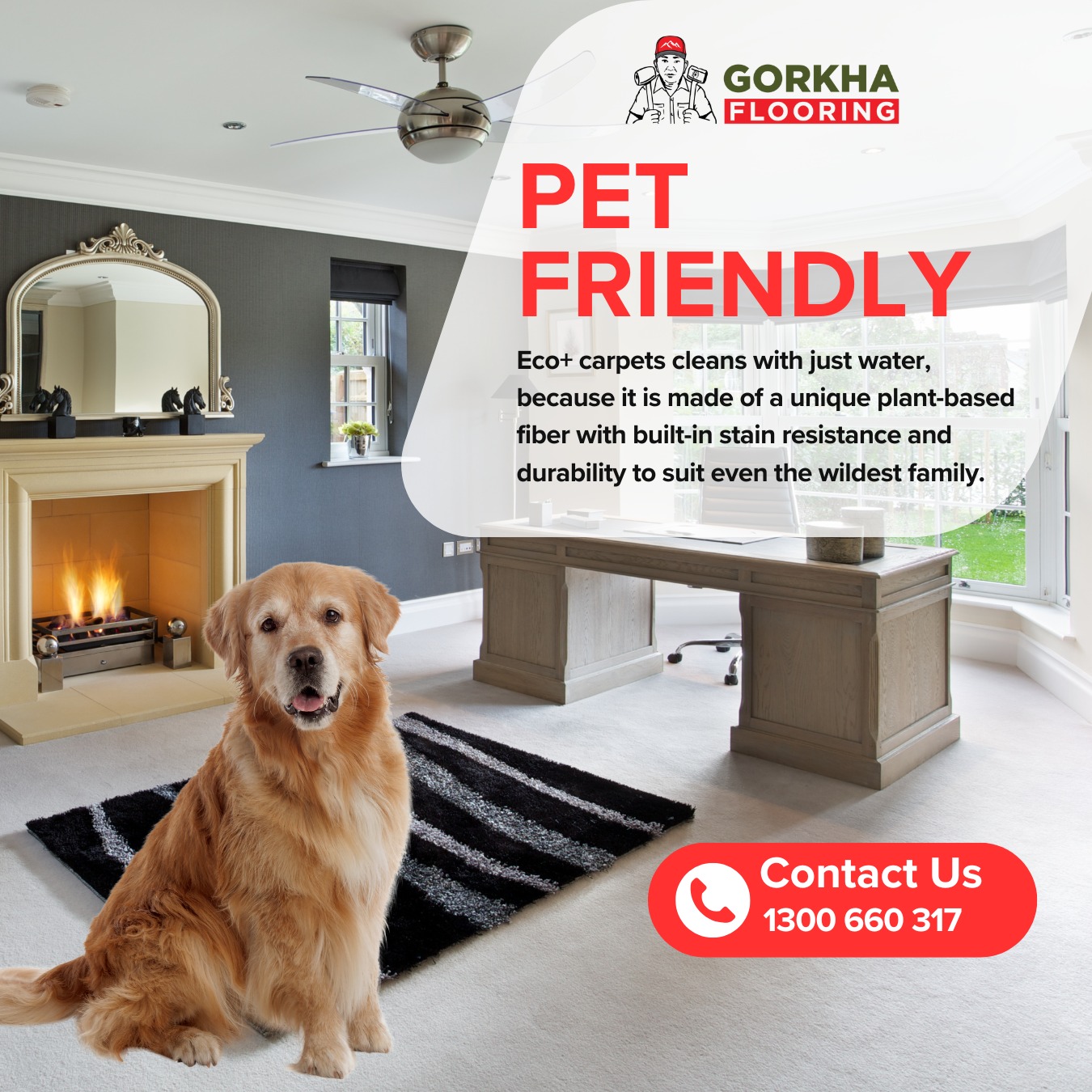 474463309_593763703400485_5572500399258345778_n