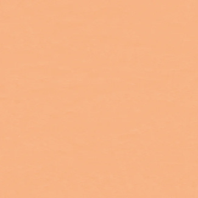 20240819P_ArmstrongFlooring_Wallflex-Melon_051_BIM-2000px_650x