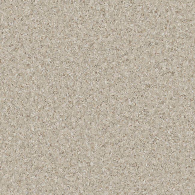 20240909P_Armstrong_Accolade_Cappuccino_018_650x