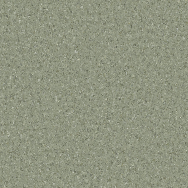 20241029P_Armstrong_Accolade2_BegaValley_014_650x