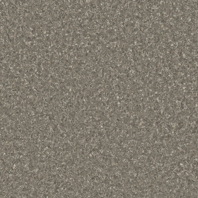 20241029P_Armstrong_Accolade2_Ironbark_026_650x