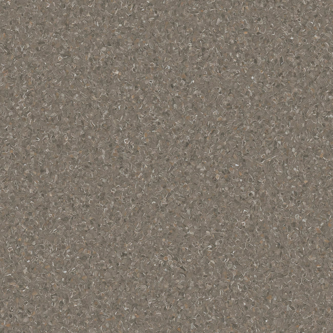 20241029P_Armstrong_Accolade2_SnapperRocks_027_650x