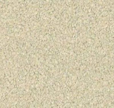 Redbook Wild River Polyester Carpet