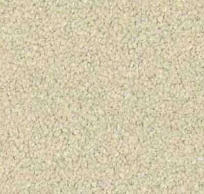 Redbook Wild River Polyester carpet flooring sample – stylish polyester carpet in Melbourne