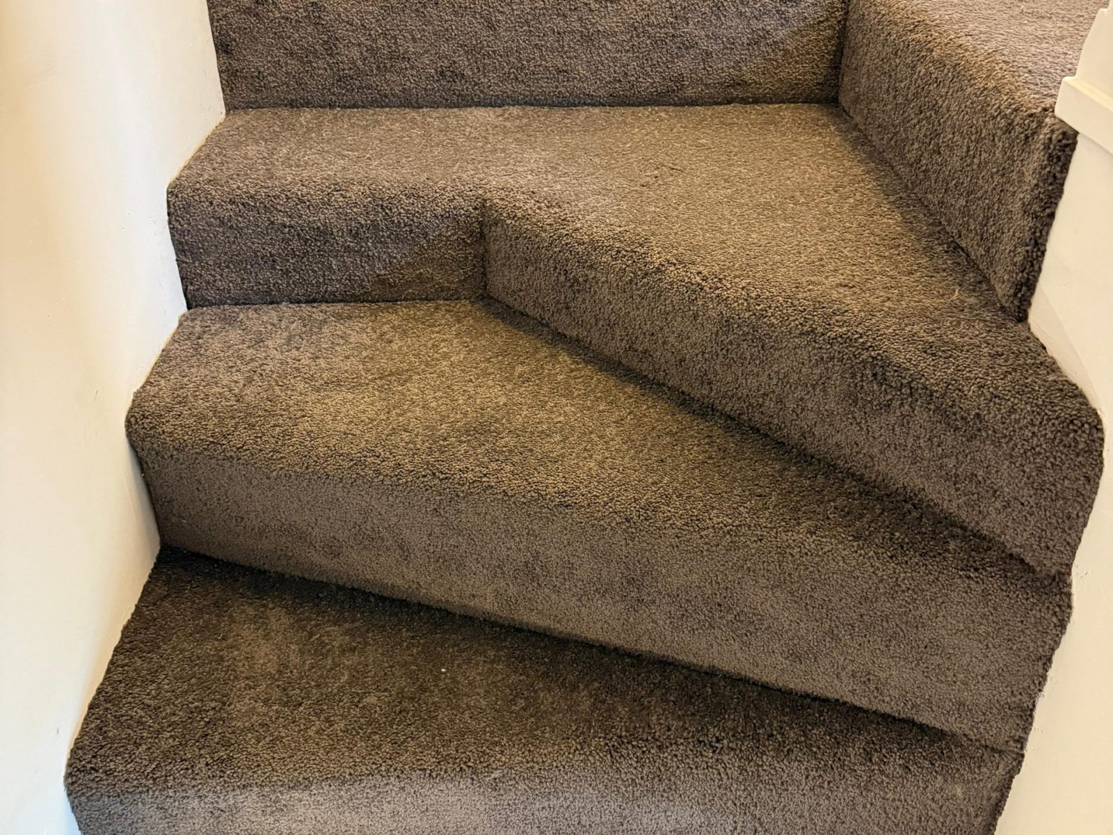 WhatsApp Image 2025-11-23 at 12.20.50 PM