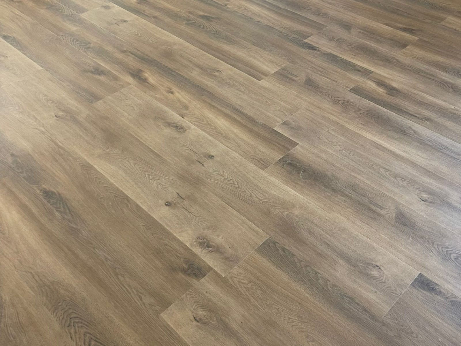 WhatsApp Image 2025-11-24 at 12.25.49 PM